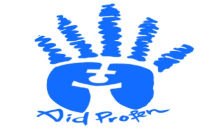 RAPPORT DE LA MISSION D’OBSERVATION D’AIDPROFEN RELATIVE AU DEROULEMENT DES  ELECTIONS DU 20 DECEMBRES EN RDC