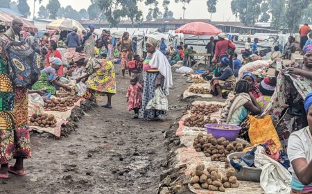 Nyiragingo : face à la souffrance dans camps, les femmes déplacées optent pour le débrouillardise pour survivre avec leurs familles