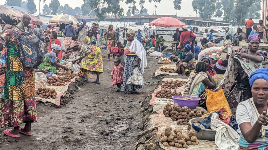 Nyiragingo : face à la souffrance dans camps, les femmes déplacées optent pour le débrouillardise pour survivre avec leurs familles