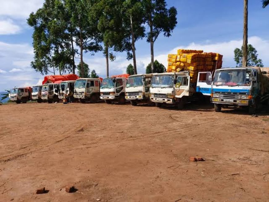 Nord-Kivu : les transporteurs de l’axe kibirizi en grève pour dénoncer la « surtaxation »