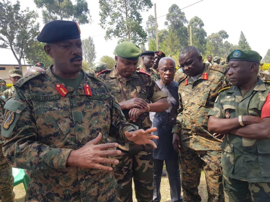 Beni: les FARDC-UPDF neutralisent un combattant ADF et capturent un autre à Mavivi-Ngite