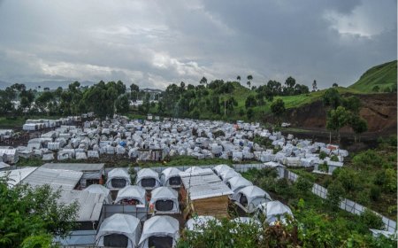 Nord-Kivu : Des femmes et jeunes filles victimes d’abus sexuels dans les sites de déplacés de guerre