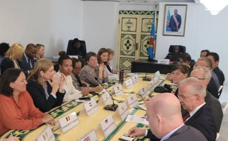 Situation humanitaire et sécuritaire au Nord-Kivu : vers une sortie de crise ?