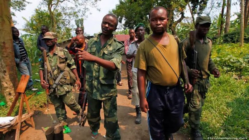 Goma : face la présumée implication des Wazalendo dans l'insécurité, ceux-ci appellent la population à renouveller sa confiance en leur loyauté