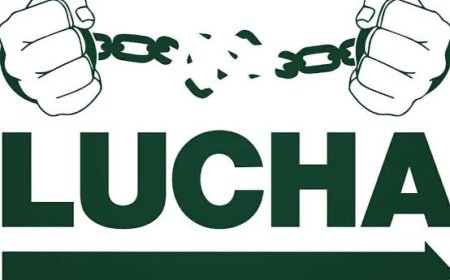 Goma : douze ans de la LUCHA, la population fait face à une baisse d'intensité de ce mouvement citoyen