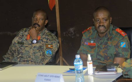 RDC : évaluation des opérations Shujaa menées conjointement par les FARDC et les UPDF contre l'ADF