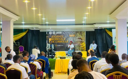 Journée mondiale de l’abeille : les apiculteurs du Nord-Kivu demandent l’intervention des jeunes dans la protection de cet insecte