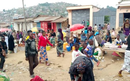 Guerre dans l’Est de la RDC : le ministre, Julien Paluku, recommande la construction d’un État basé sur une armée et une justice fortes