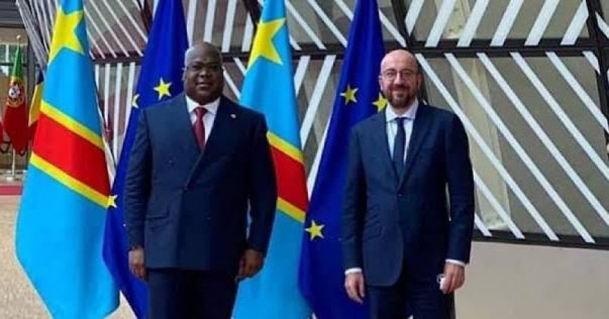 Bombardements à Goma:  l'UE condamne l'utilisation de l'artillerie lourde à proximité des sites de déplacés