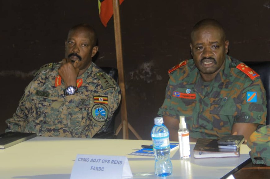 RDC : évaluation des opérations Shujaa menées conjointement par les FARDC et les UPDF contre l'ADF