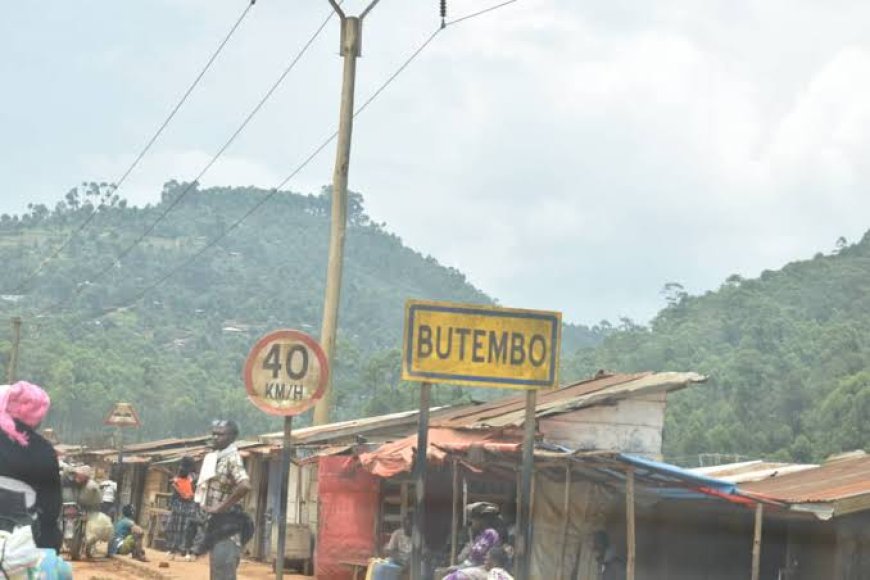 Butembo : au moins dix  cas de suicides enregistrés en dix jours, un psychologue propose le débriefing à la population