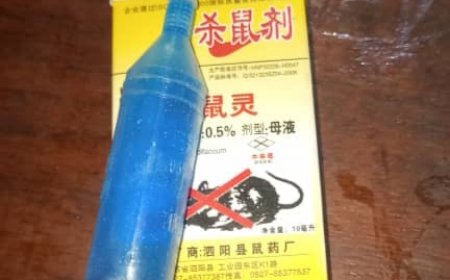 Goma : le rat-killer (KAUSHAPANYA), un produit toxique à utiliser avec précaution à domicile