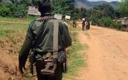 Nord-Kivu : appel à stopper le M23 pour prévenir sa montée en puissance économique et administrative