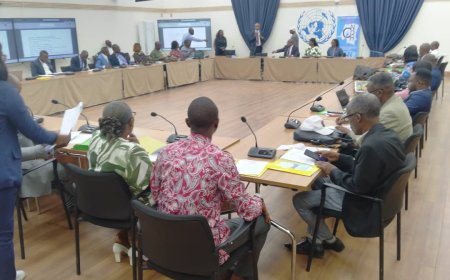 RDC : la CNDH enregistre un nombre record de plus de 2000 ONG de défense des droits de l'homme