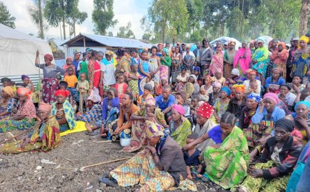 Insécurité dans l’Est de la RDC : Plus de 7 millions de déplacés et une situation humanitaire toujours dramatique