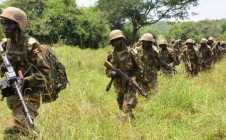 Renforcement militaire suspect en République Démocratique du Congo par le Rwanda et l'Ouganda : craintes d'une détérioration de la situation sécuritaire