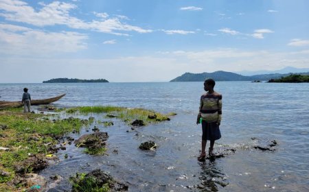 RDC : Plus qu’une guerre économique, la guerre du M23 une guerre écologique