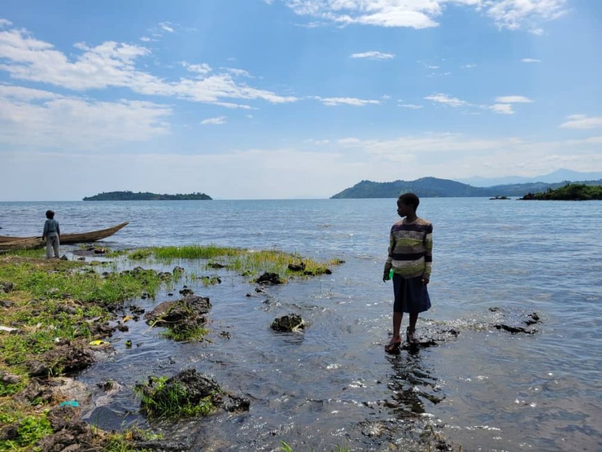 RDC : Plus qu’une guerre économique, la guerre du M23 une guerre écologique