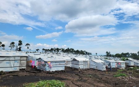 Nord-Kivu : une distribution de moustiquaires annoncée dans les zones de santé impactées par les déplacés de guerre