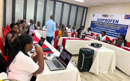 Goma: les acteurs de la société civile à l'école de la lutte contre la corruption 