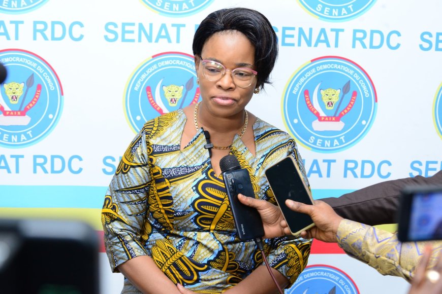 RDC : candidatures pour le Bureau Définitif du Sénat – Isabelle Kabamba Wa Umba candidat au poste de questeure adjointe