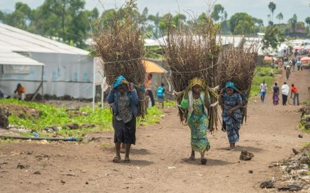 Nord-Kivu : la résilience économique des femmes du en temps de guerre, preuve d'une détermination féminine au profit de tous