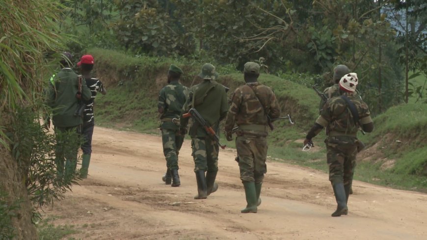 Opération Shujaa : sauvetage de femmes et d'enfants captifs des ADF dans la région de Beni