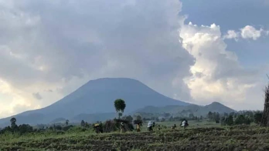 Nyiragongo : des attaques nocturnes incessantes ont secoué le village Ngangi 3 le mois dernier