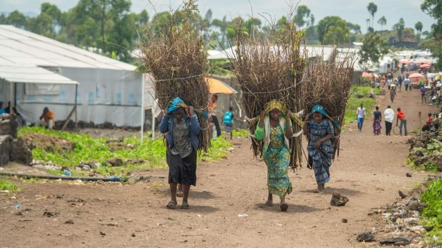 Nord-Kivu : la résilience économique des femmes du en temps de guerre, preuve d'une détermination féminine au profit de tous