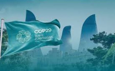 La Cop29 s'ouvre en Azerbaïdjan sur fond d'aide financière aux pays les plus affectés par le changement climatique