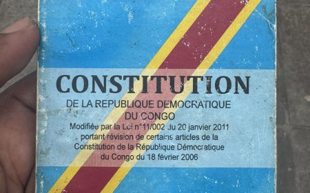 Débat autour de l’article 217 : Félix Tshisekedi divise l’opinion à Lubumbashi