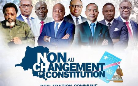 Débat autour de la révision constitutionnelle en RDC: l’occasion pour l'opposition de regagner l'influence et la crédibilité?