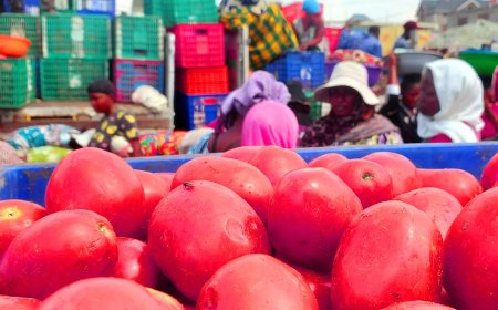 Délocalisation du marché de Kahembe : les vendeuses entre incertitude et désespoir