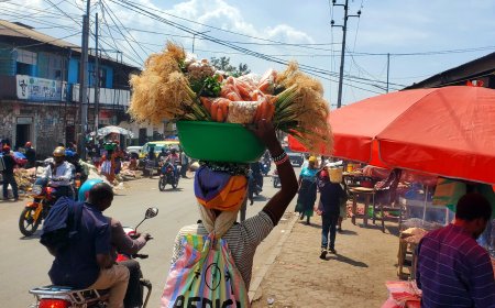 Femmes rurales du Nord-Kivu : les héroïnes oubliées des zones en conflit