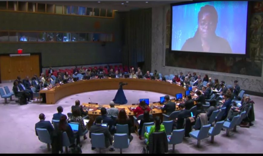 Passy Mubalama plaide pour la paix à l'Est de la RDC lors de son intervention au Conseil de sécurité de l'ONU