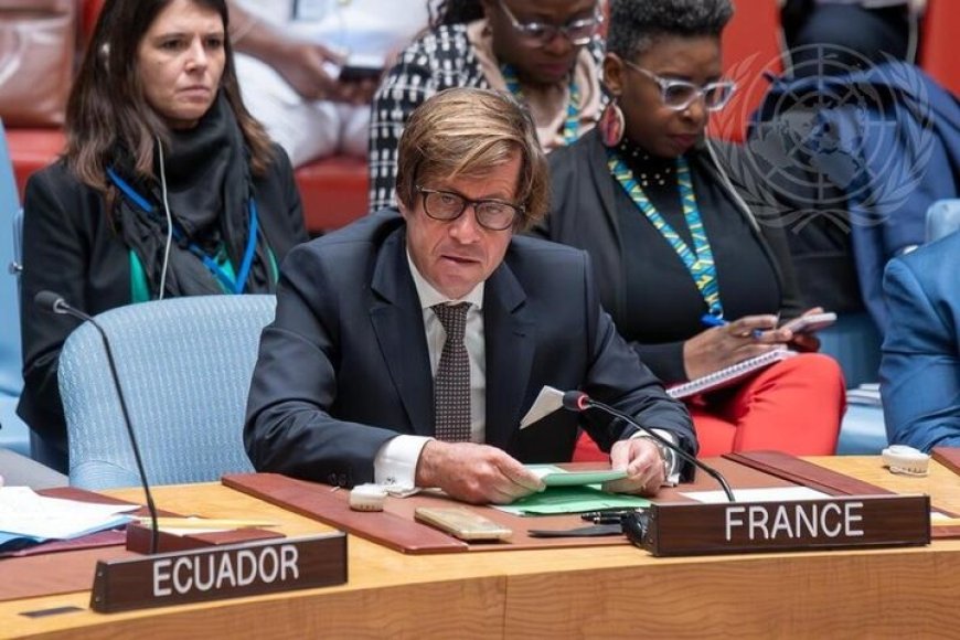 Guerre à l'Est de la RDC : la France appel à des actions concrètes pour le retour d'une paix durable