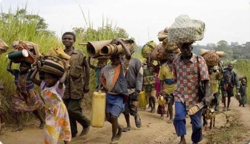 RDC : reprise des affrontements dans le territoire de Lubero, déplacement massif des populations