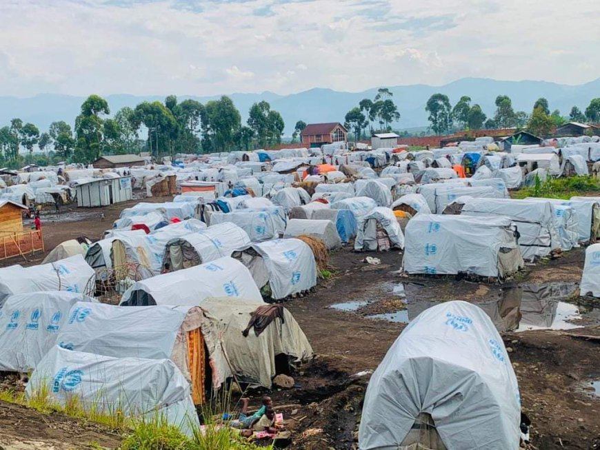 Goma : Vivant dans des conditions précaires, les déplacés de guerre espèrent célébrer tant bien que mal la fête de Noël