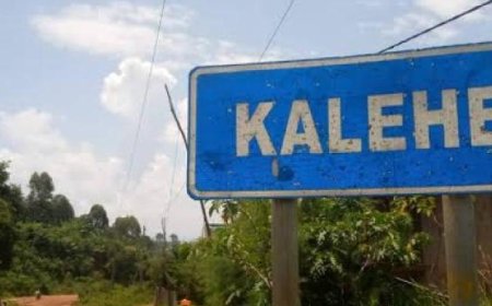 Atrocités du M23 à Kalehe : plus de 200 personnes tuées et leurs corps laissés sans sépulture (Administrateur du territoire)