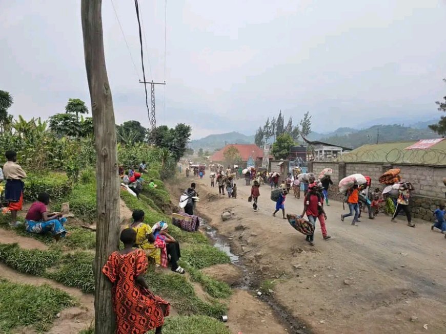 Guerre à l'est : la menace du M23 pèse sur la cité de Minova au Sud-Kivu