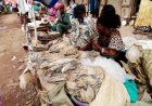 Nord-Kivu  : les activités socio-économiques ont tourné au ralenti à Butembo