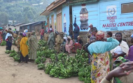 Goma : baisse des prix de certains produits alimentaires, une satisfaction mitigée pour les ménagères