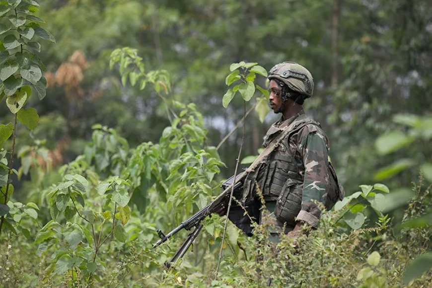 Sud-Kivu : Face à l’avancée du M23, la société civile plaide pour "éviter une boucherie humaine"