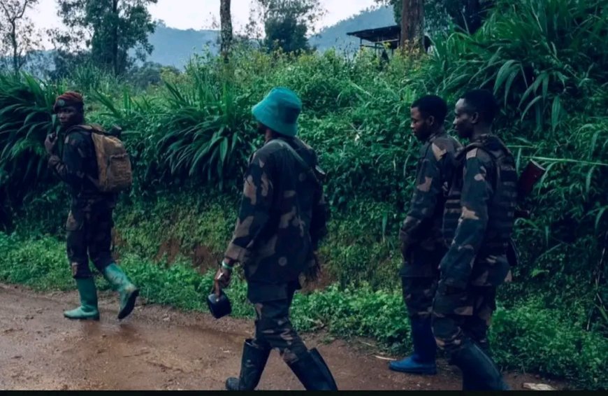 Guerre du M23 : Lubero entre un calme précaire, le chaos persistant et des scènes de pillage
