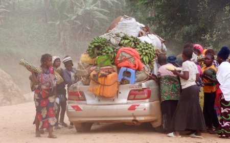 Les reines de l’ananas : À Maboya, des femmes rurales transforment la route en marché de survie