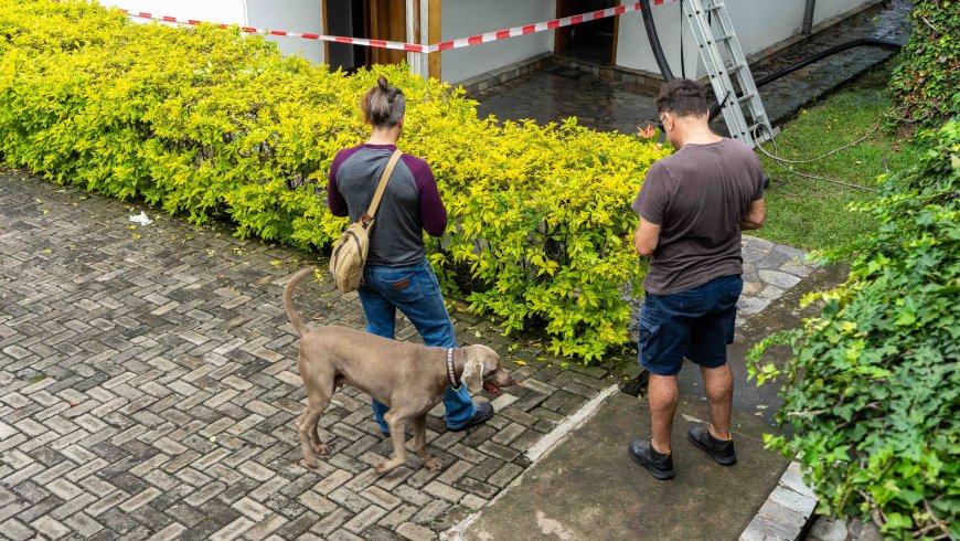 Goma : une humanitaire française tuée, la protection des civils à nouveau questionnée